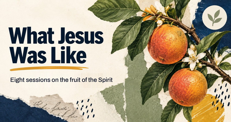 What Jesus Was Like: The fruit of the Spirit. Cover art.